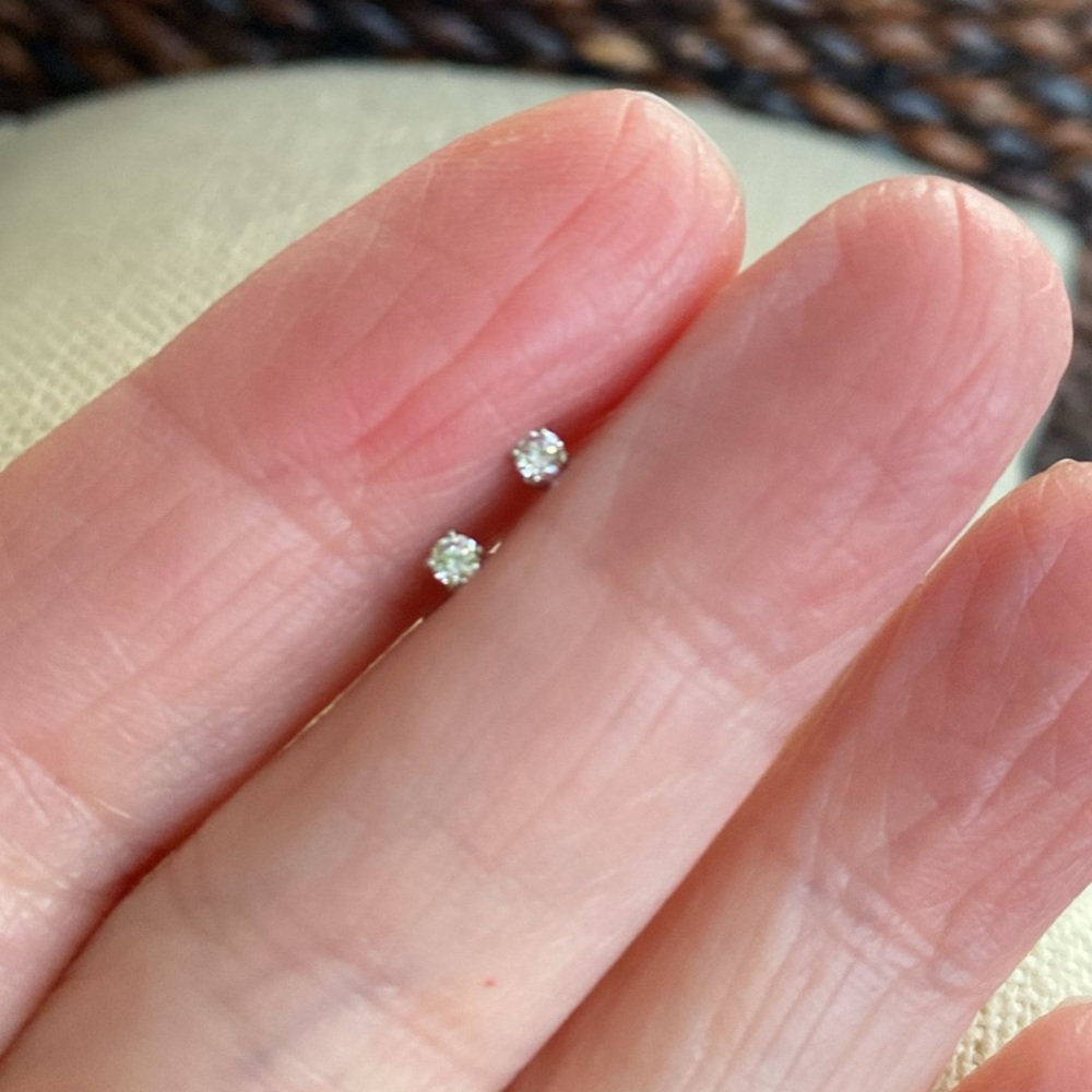 Elegant Silver Stud Earrings
